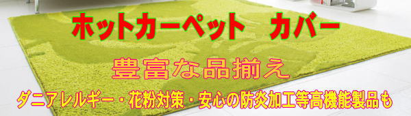 �z�b�g�J�[�y�b�g�Ή��E�����J�[�y�b�g