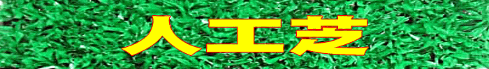�x�����_�ɁE�p�^�[�̗��K�ɁE�E�E
